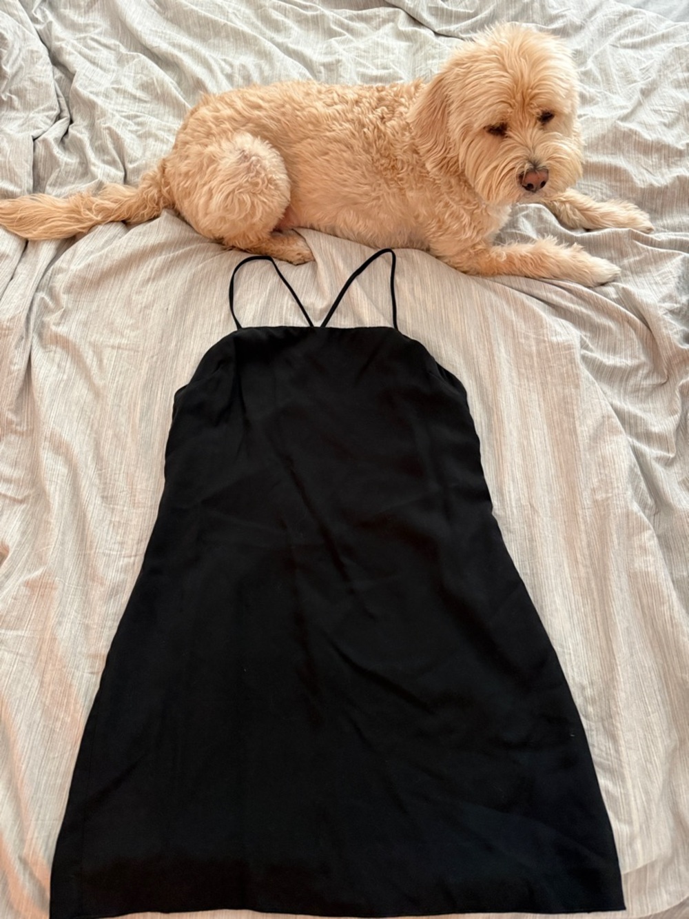 Classic Black Mini Slip Dress - Brand: